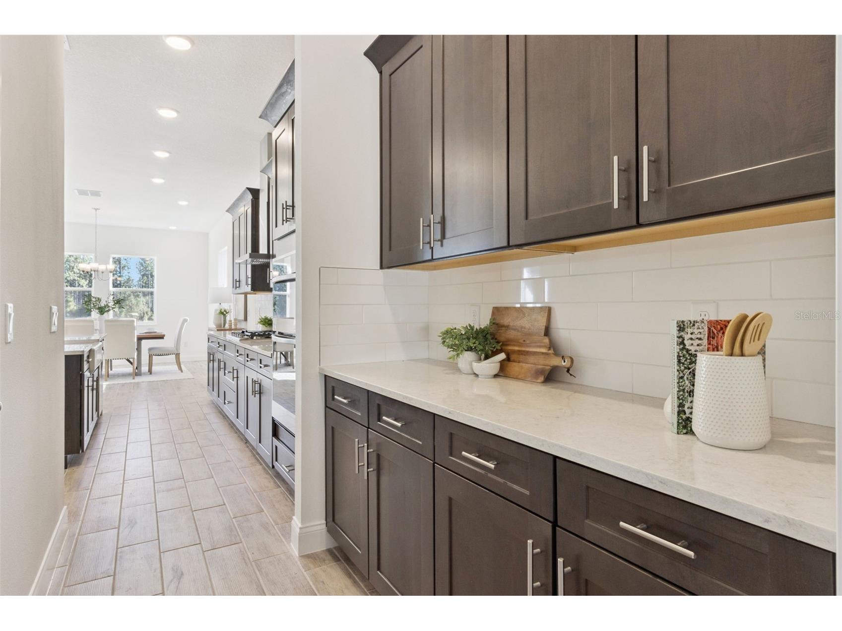 2574 Wise River Lane Zephyrhills FL 33541 O6338829 image17