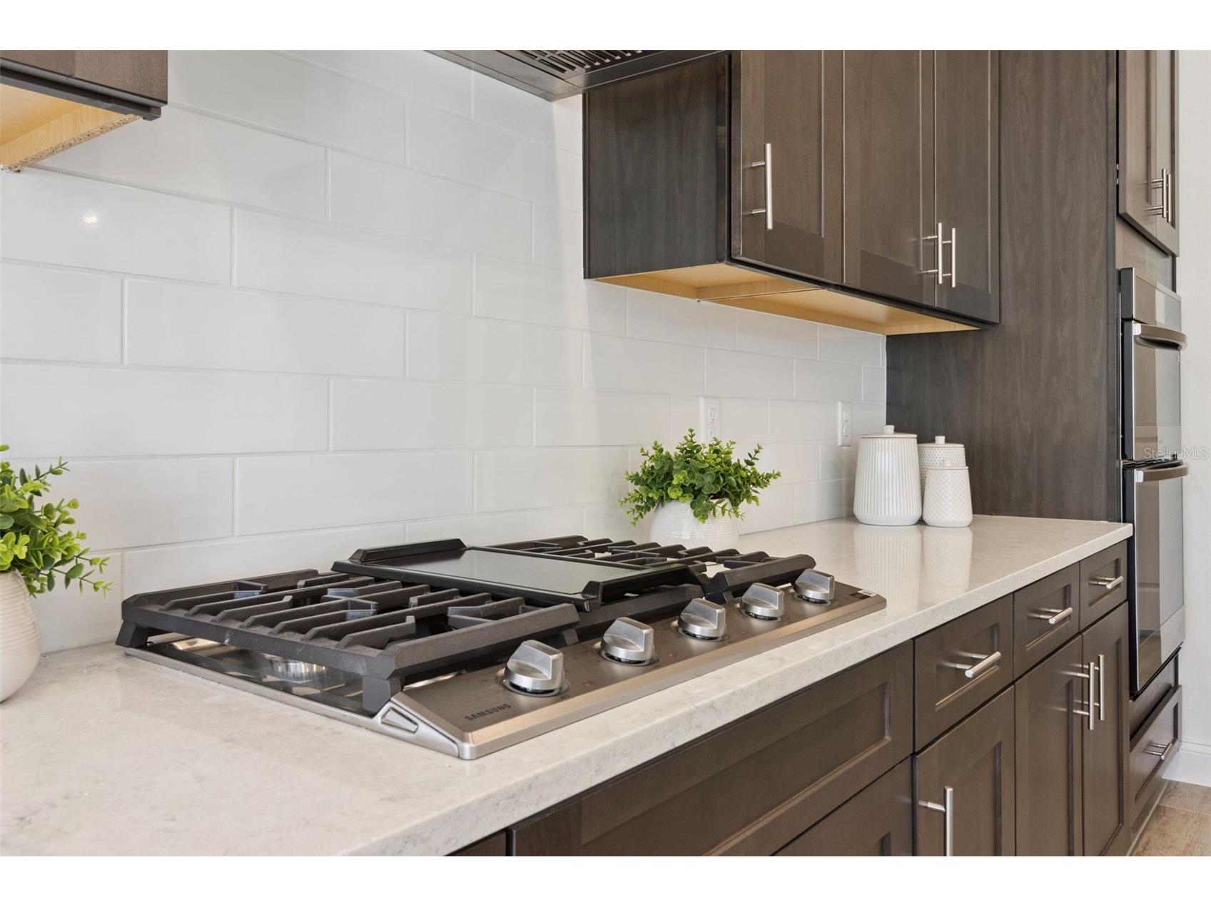 2574 Wise River Lane Zephyrhills FL 33541 O6338829 image23