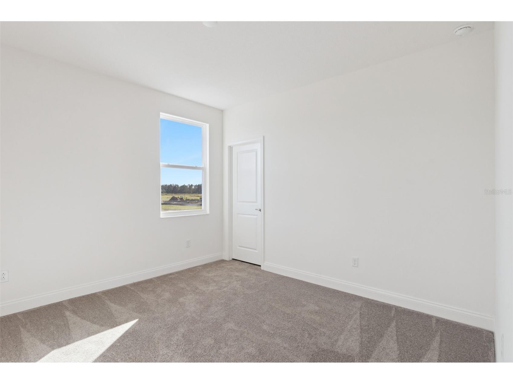 2574 Wise River Lane Zephyrhills FL 33541 O6338829 image39