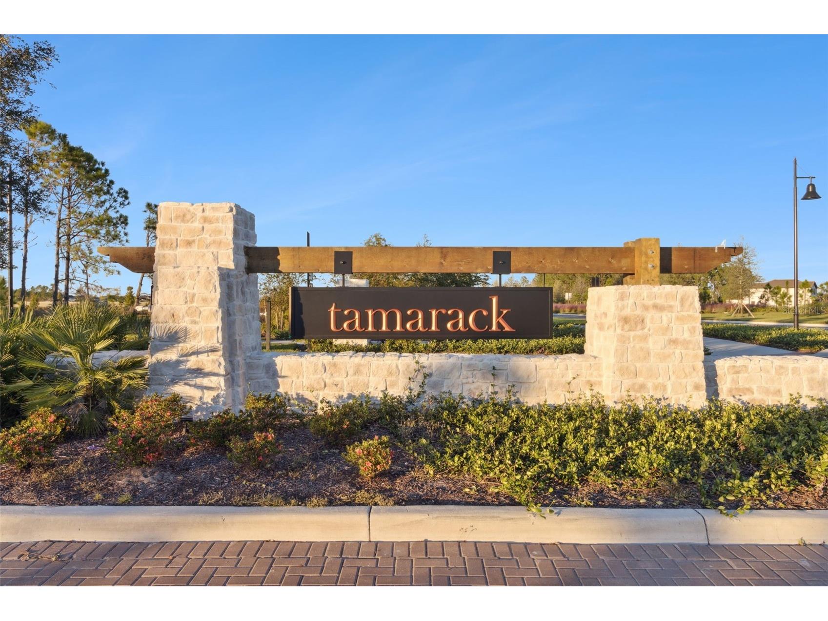 2574 Wise River Lane Zephyrhills FL 33541 O6338829 image4