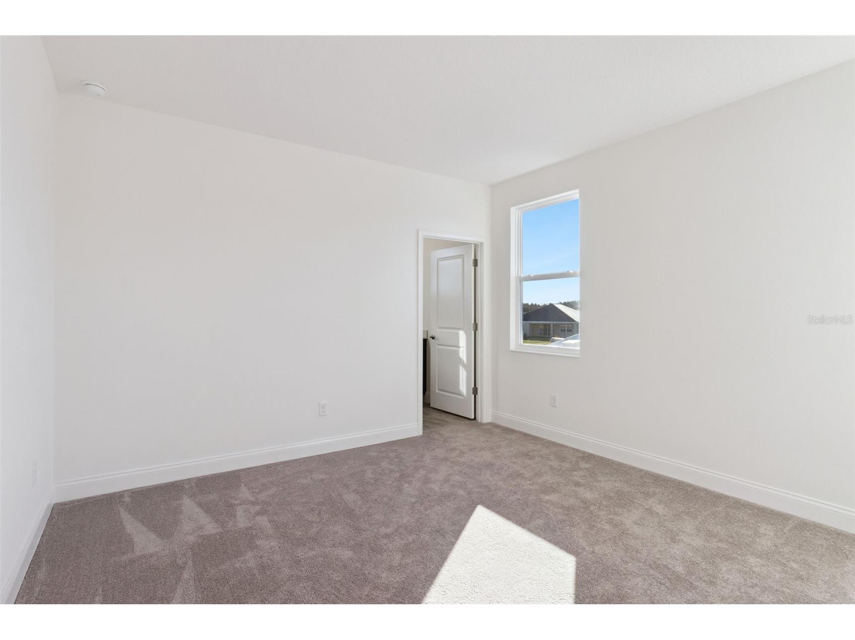 2574 Wise River Lane Zephyrhills FL 33541 O6338829 image41