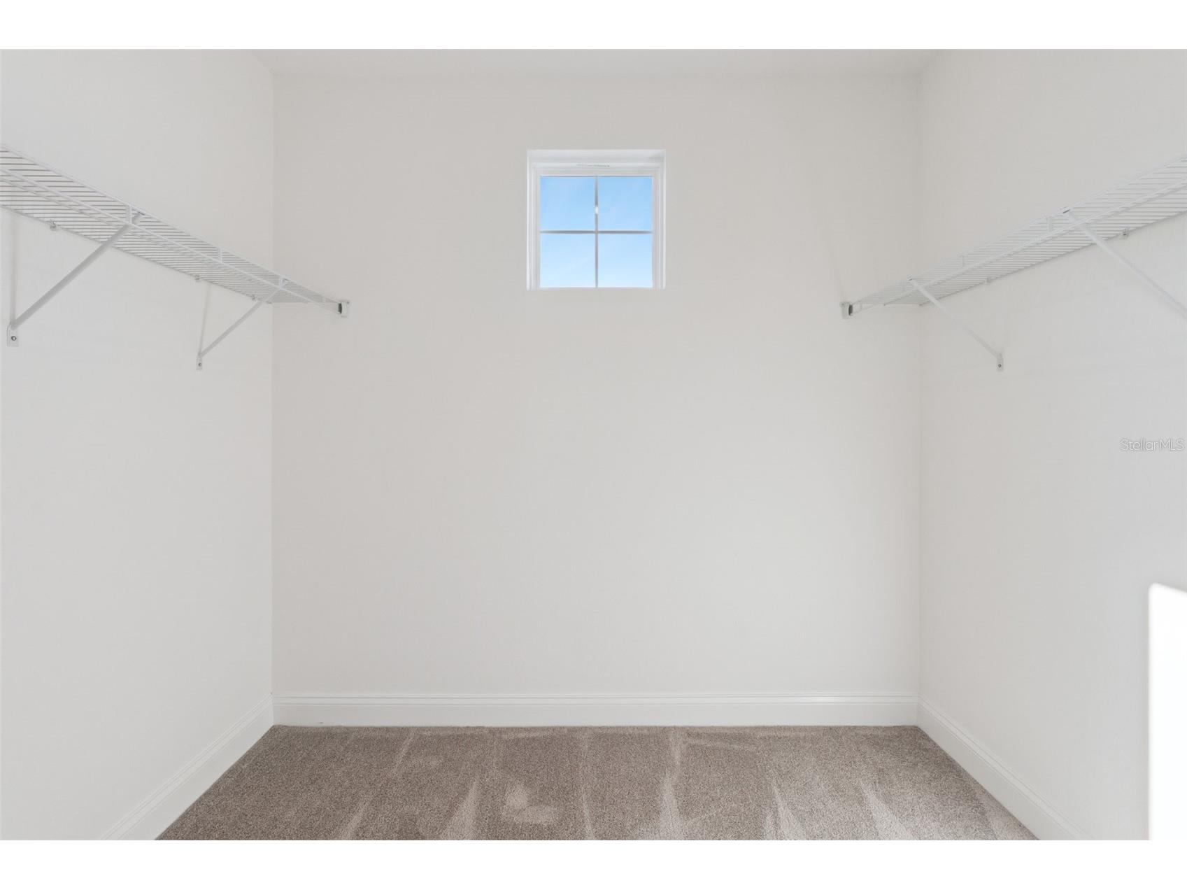 2574 Wise River Lane Zephyrhills FL 33541 O6338829 image47