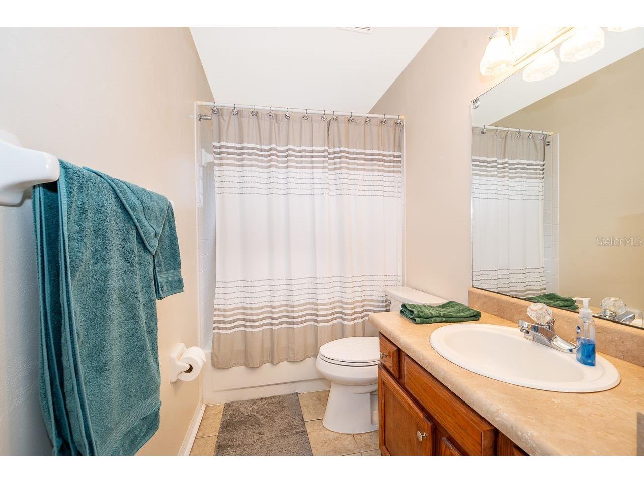 25741 Belle Helene Leesburg FL 34748 S5144825 image20