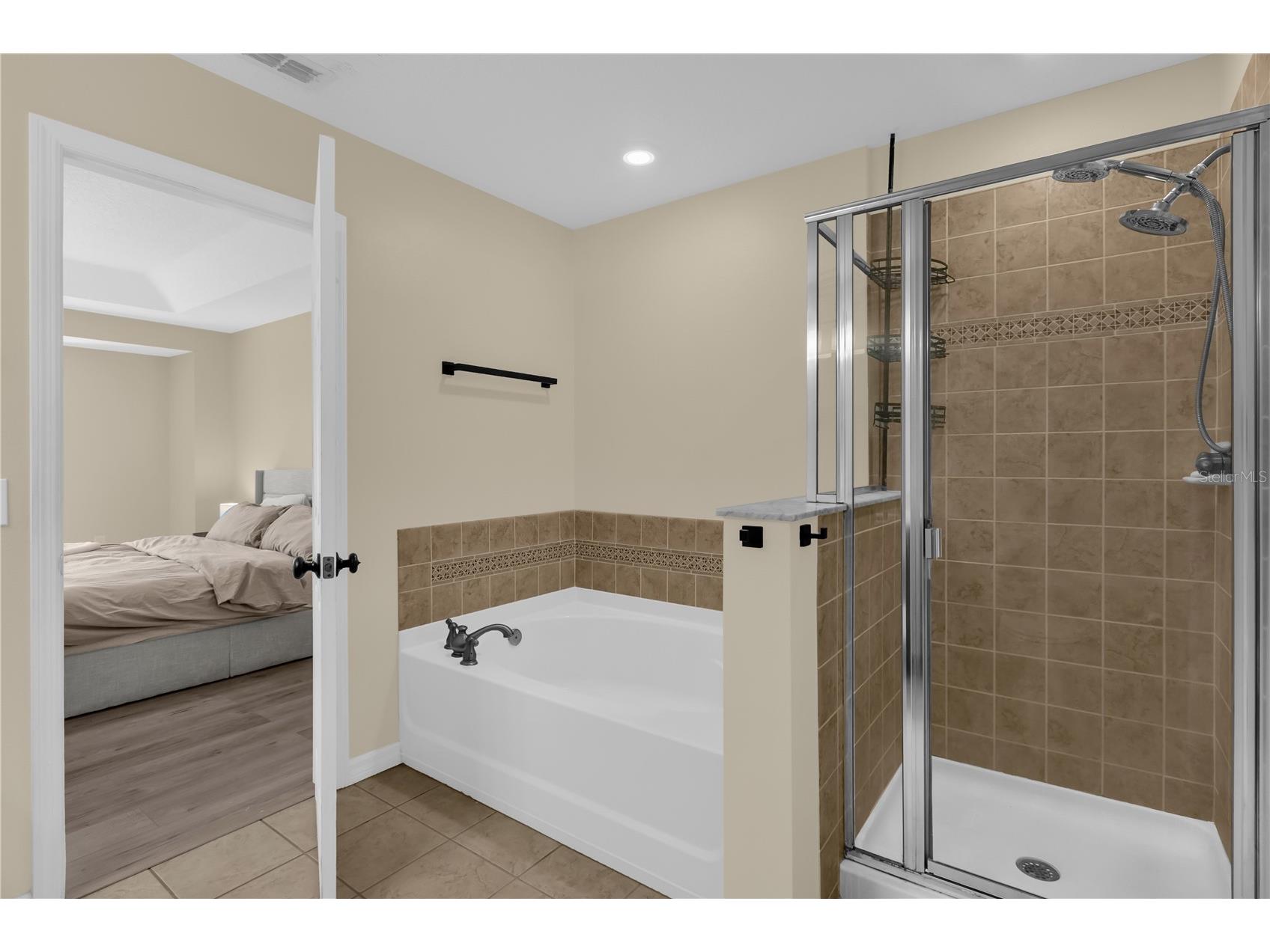 2575 Aventurine Street Kissimmee FL 34744 S5144762 image24