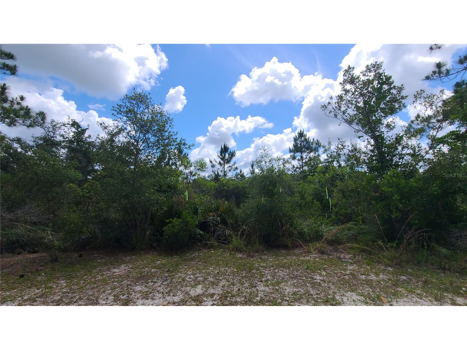 2575 Bear Run S Frostproof FL 33843 S5150207 image11