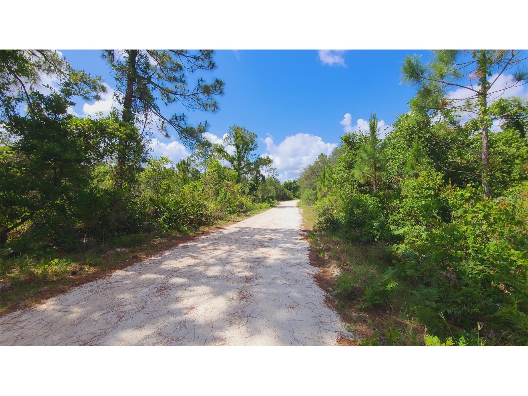 2575 Bear Run S Frostproof FL 33843 S5150207 image3