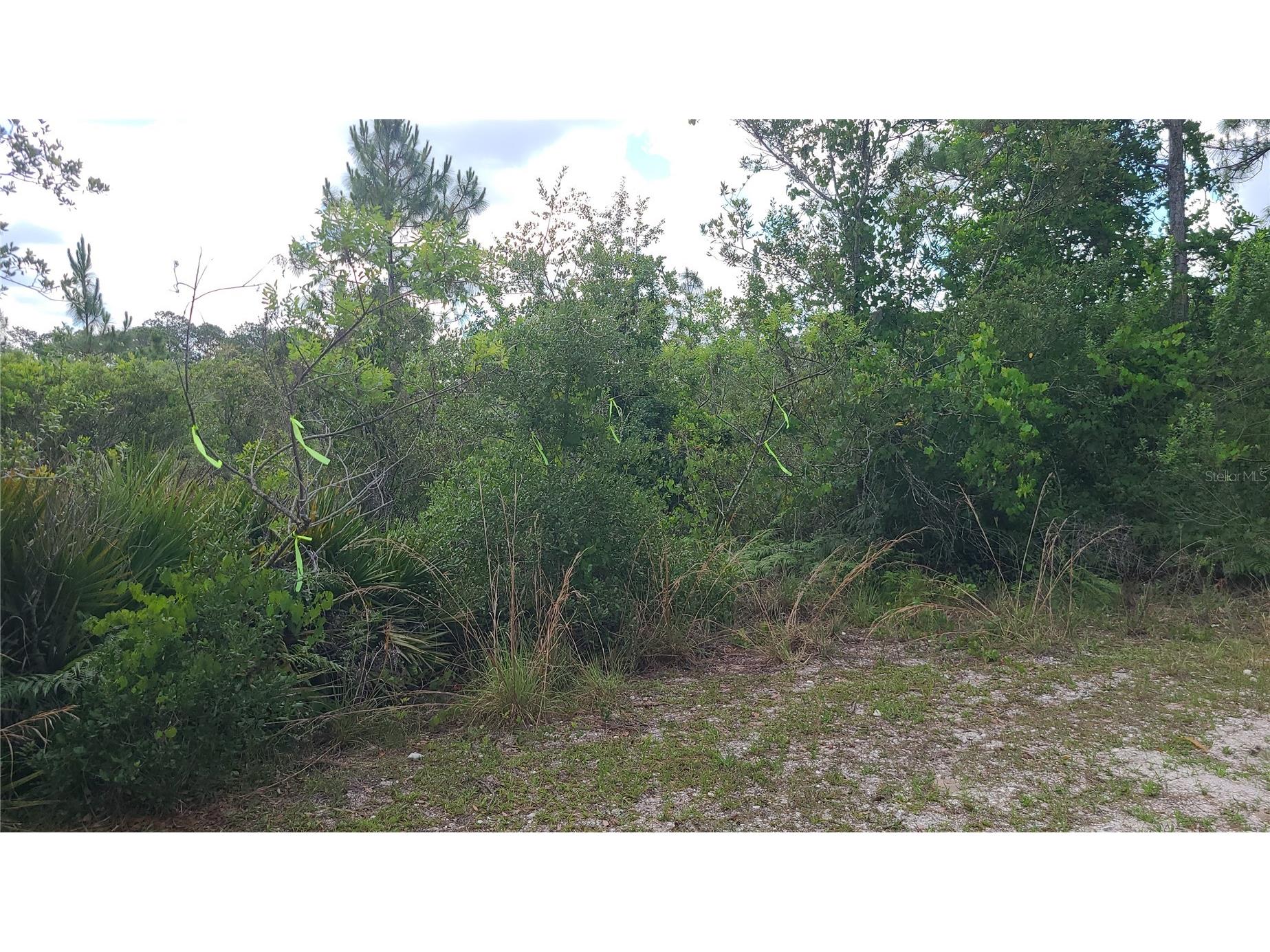 2575 Bear Run S Frostproof FL 33843 S5150207 image5