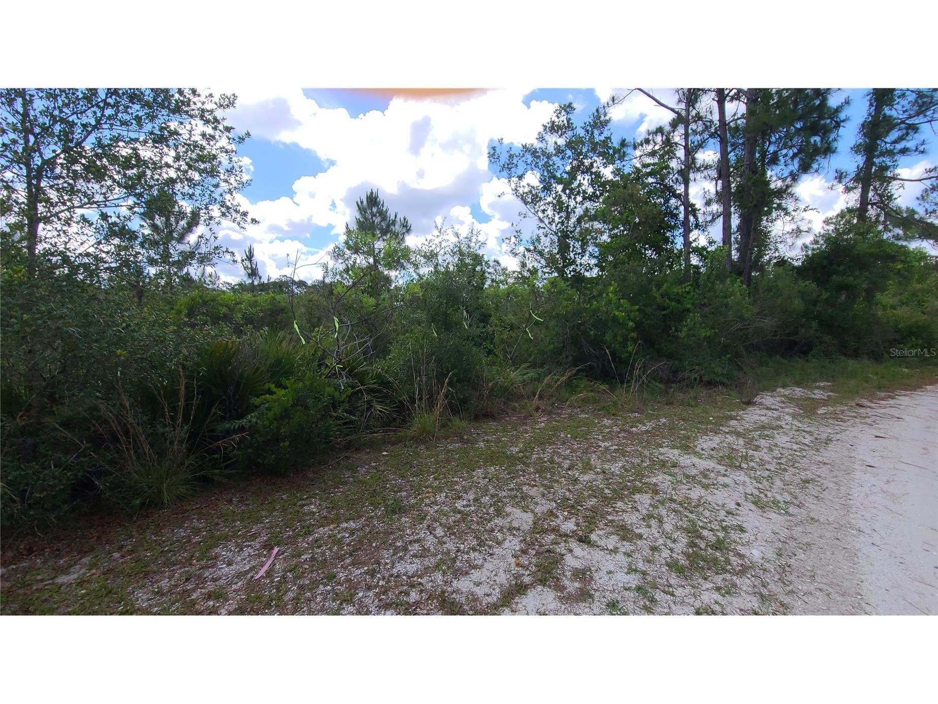 2575 Bear Run S Frostproof FL 33843 S5150207 image6