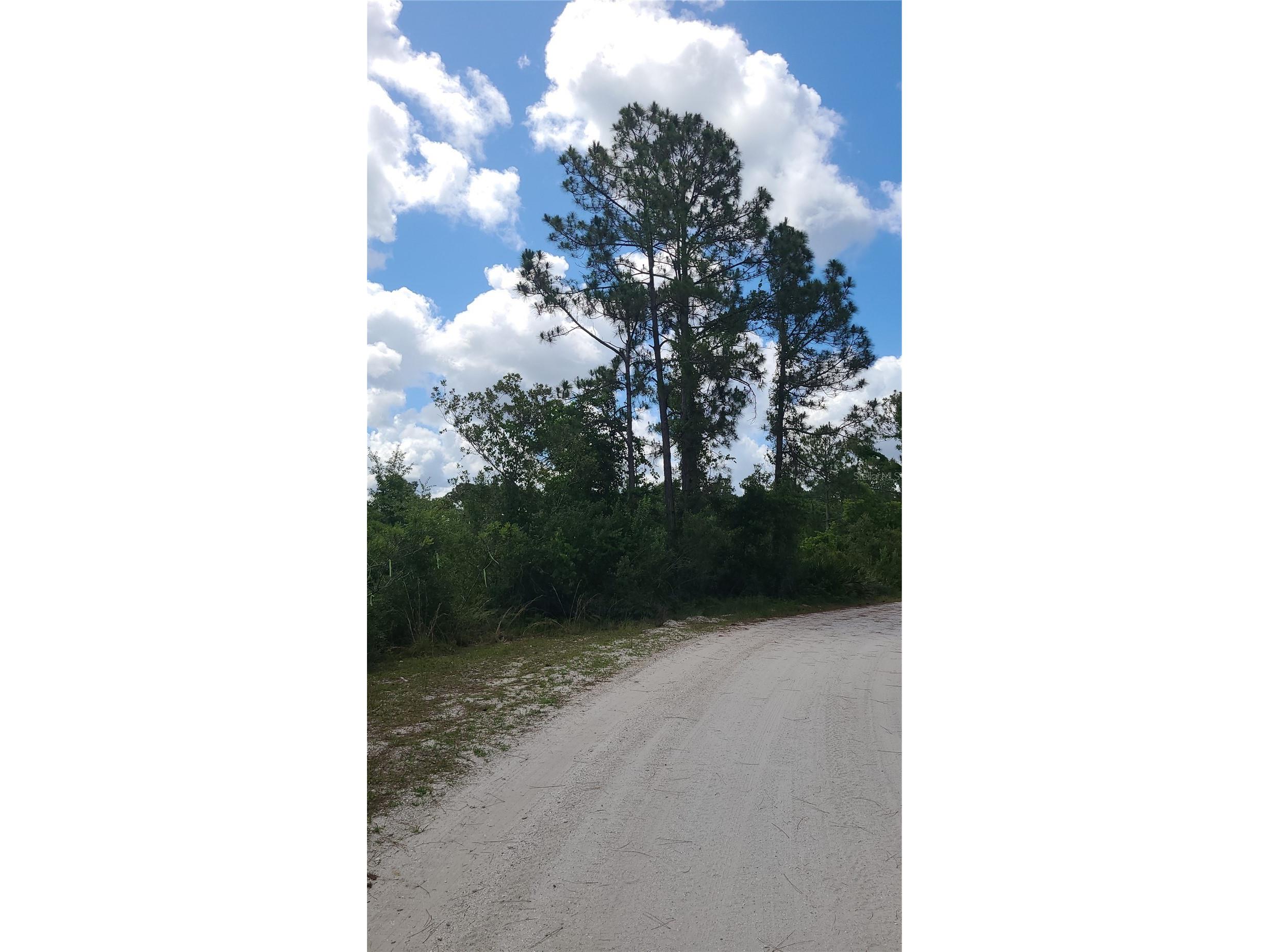 2575 Bear Run S Frostproof FL 33843 S5150207 image8