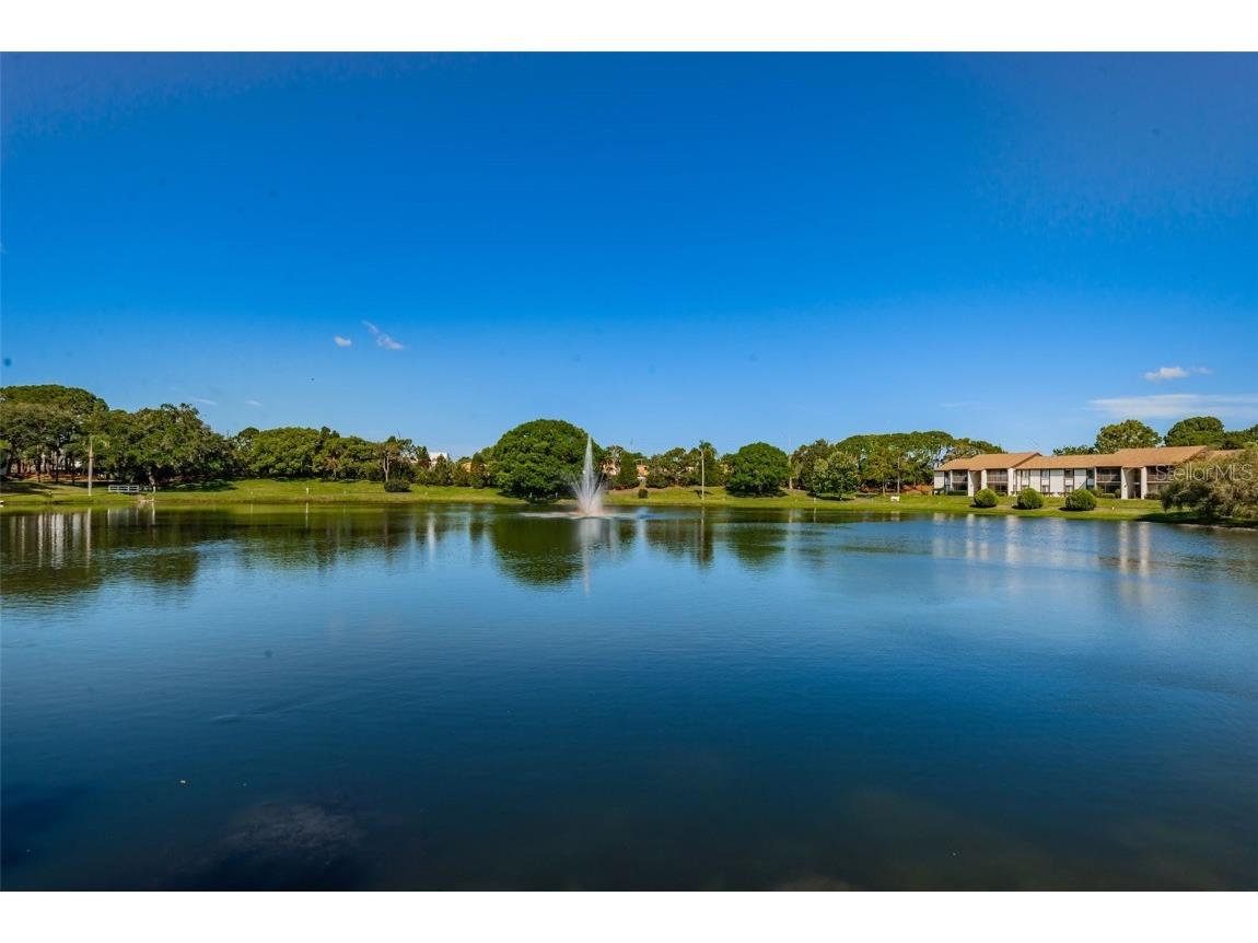 2575 Pine Ridge Way S #E1 Palm Harbor FL 34684 TB8417241 image27