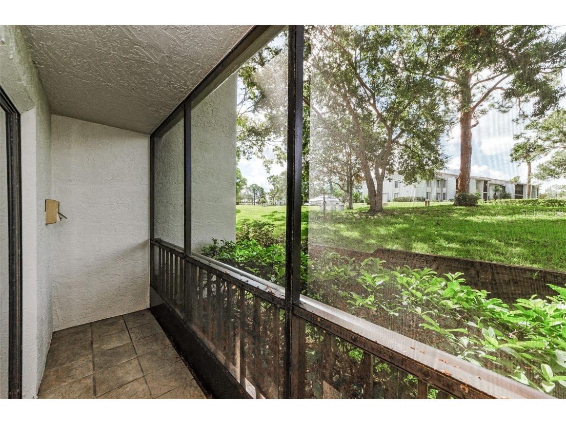 2575 Pine Ridge Way S #E1 Palm Harbor FL 34684 TB8417241 image4