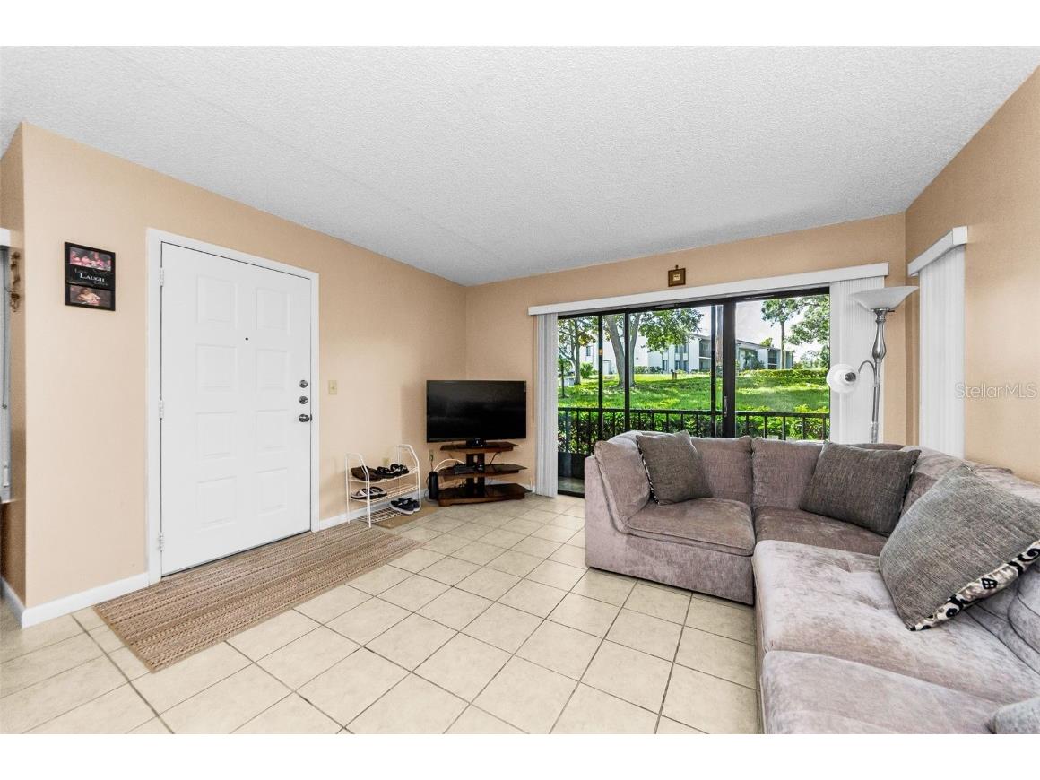 2575 Pine Ridge Way S #E1 Palm Harbor FL 34684 TB8417241 image5