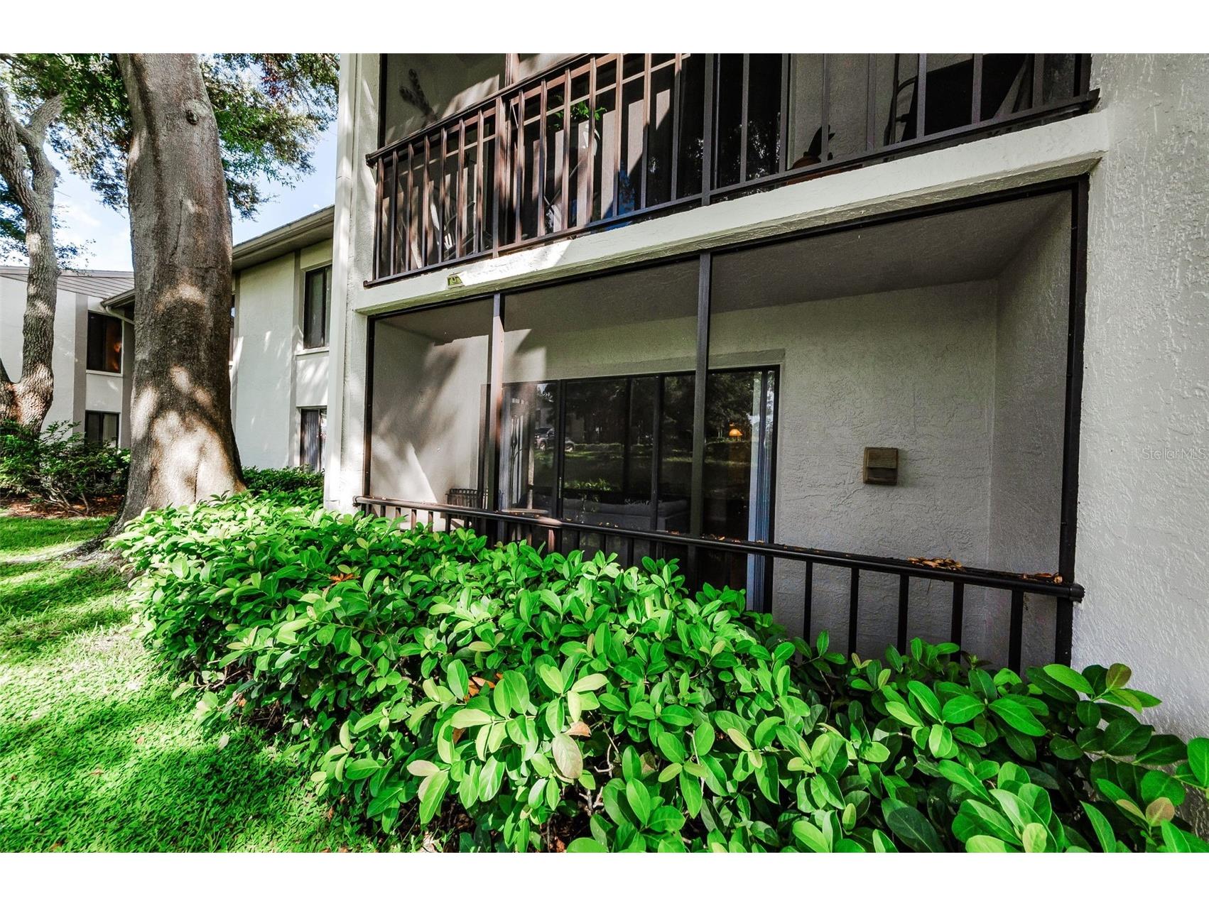 2575 Pine Ridge Way S #E1 Palm Harbor FL 34684 TB8523609 image1