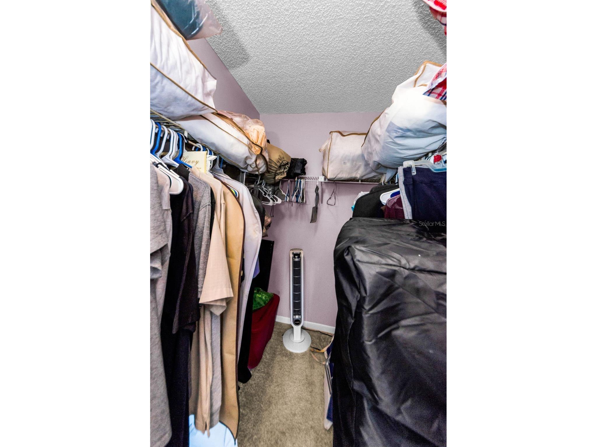 2575 Pine Ridge Way S #E1 Palm Harbor FL 34684 TB8523609 image12