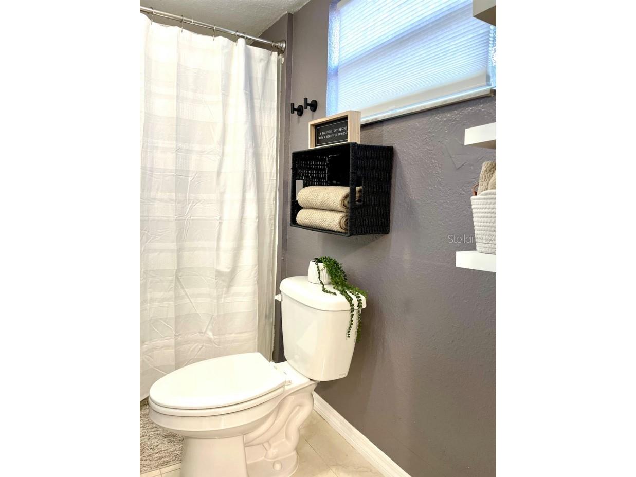 2575 S Himes Avenue #A Tampa FL 33629 TB8506862 image12