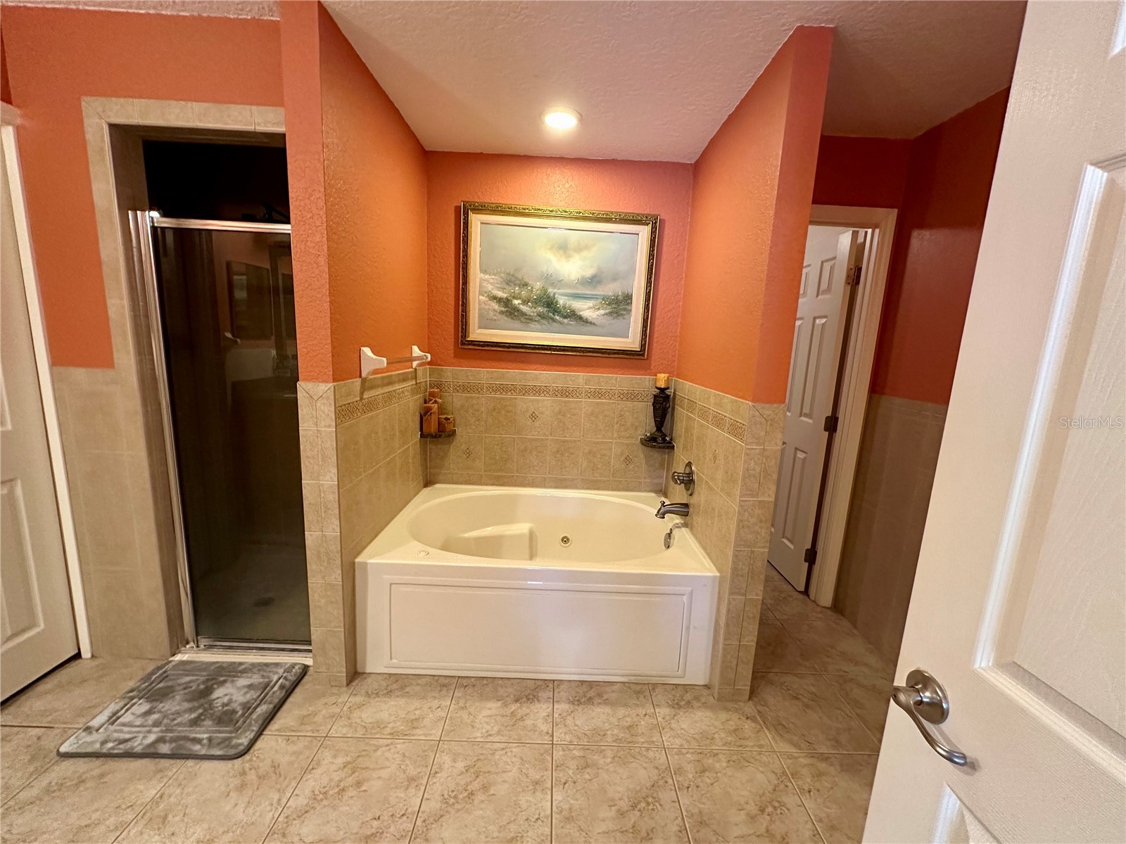 2576 SW 175th Loop Ocala FL 34473 O6369777 image45