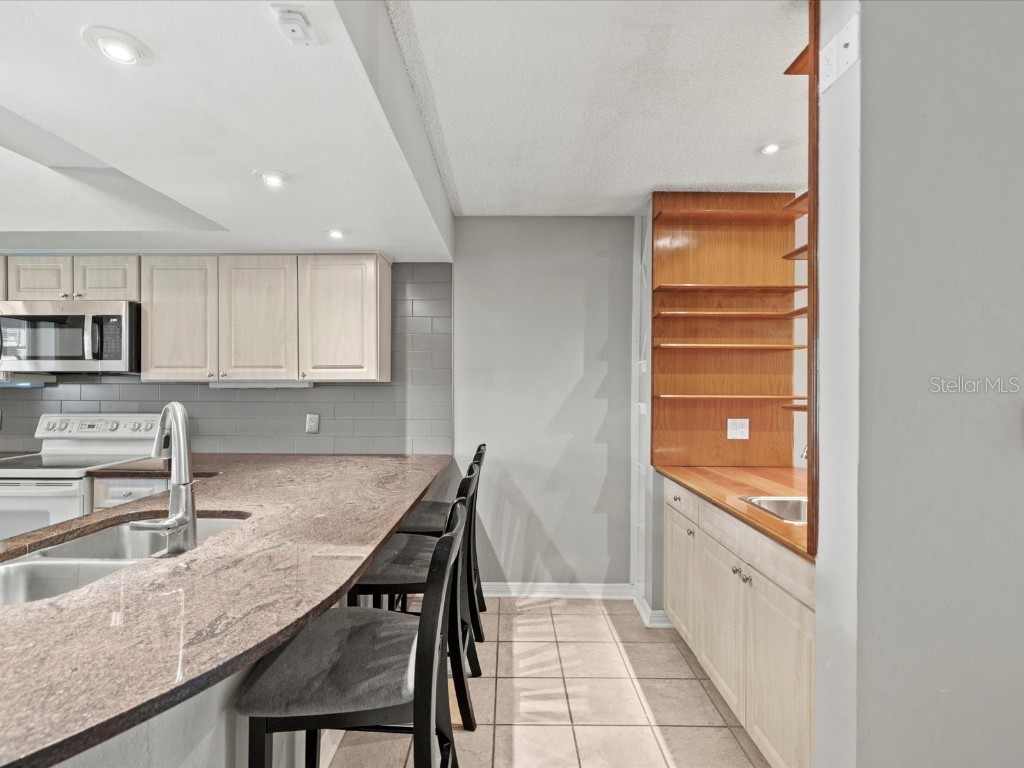 2577 Dolly Bay Drive #302 Palm Harbor FL 34684 W7880715 image13