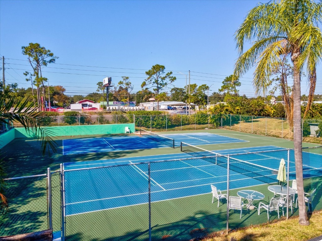 2577 Dolly Bay Drive #302 Palm Harbor FL 34684 W7880715 image36