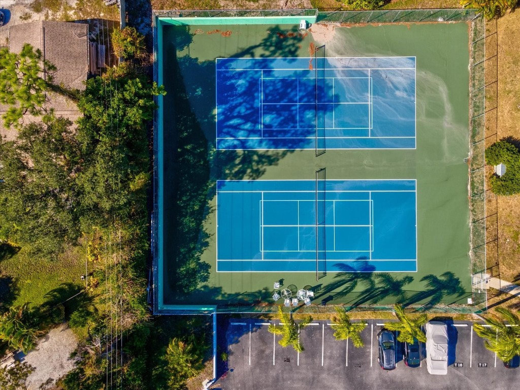 2577 Dolly Bay Drive #302 Palm Harbor FL 34684 W7880715 image37