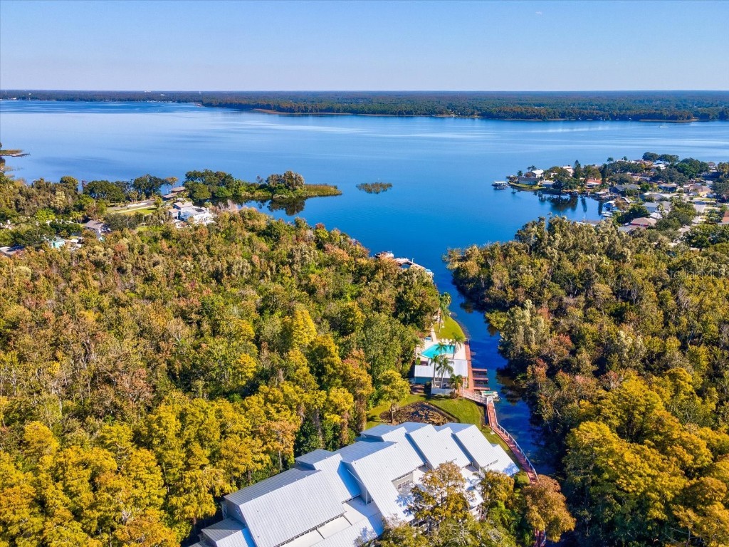 2577 Dolly Bay Drive #302 Palm Harbor FL 34684 W7880715 image38