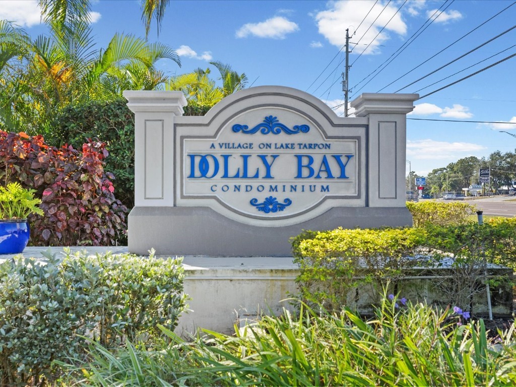 2577 Dolly Bay Drive #302 Palm Harbor FL 34684 W7880715 image4