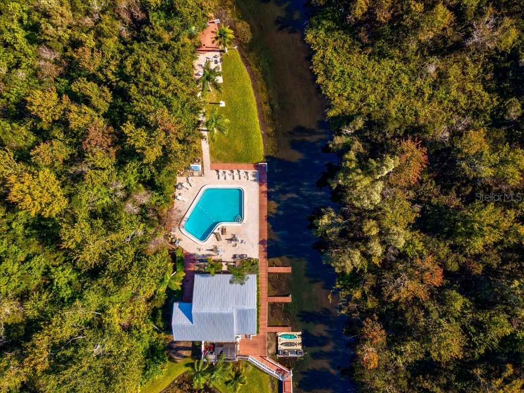 2577 Dolly Bay Drive #302 Palm Harbor FL 34684 W7880715 image42