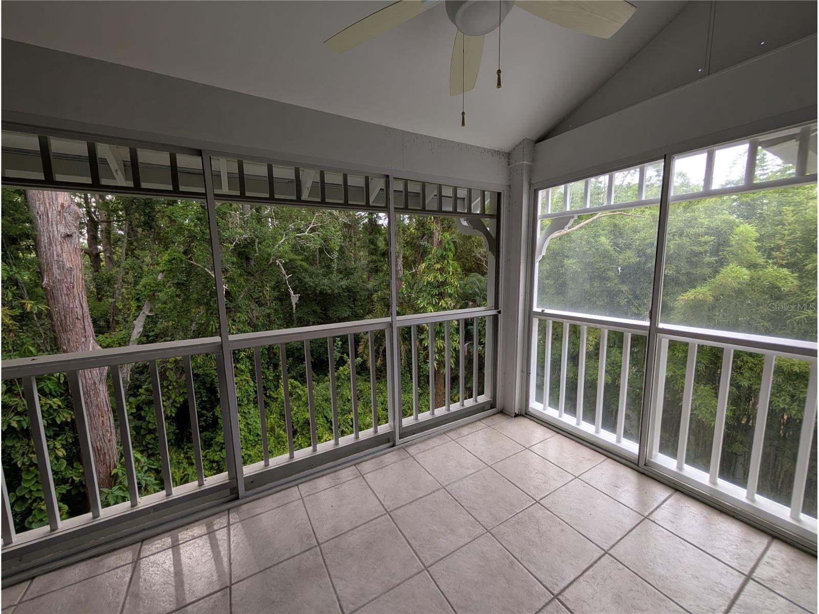 2577 Dolly Bay Drive #302 Palm Harbor FL 34684 W7886430 image20