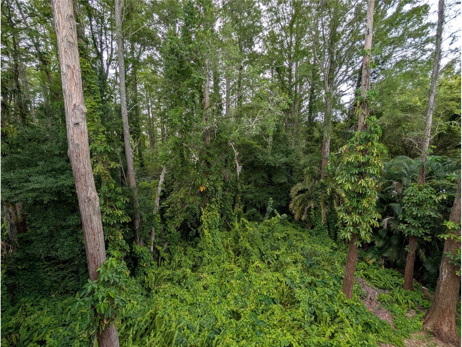 2577 Dolly Bay Drive #302 Palm Harbor FL 34684 W7886430 image21