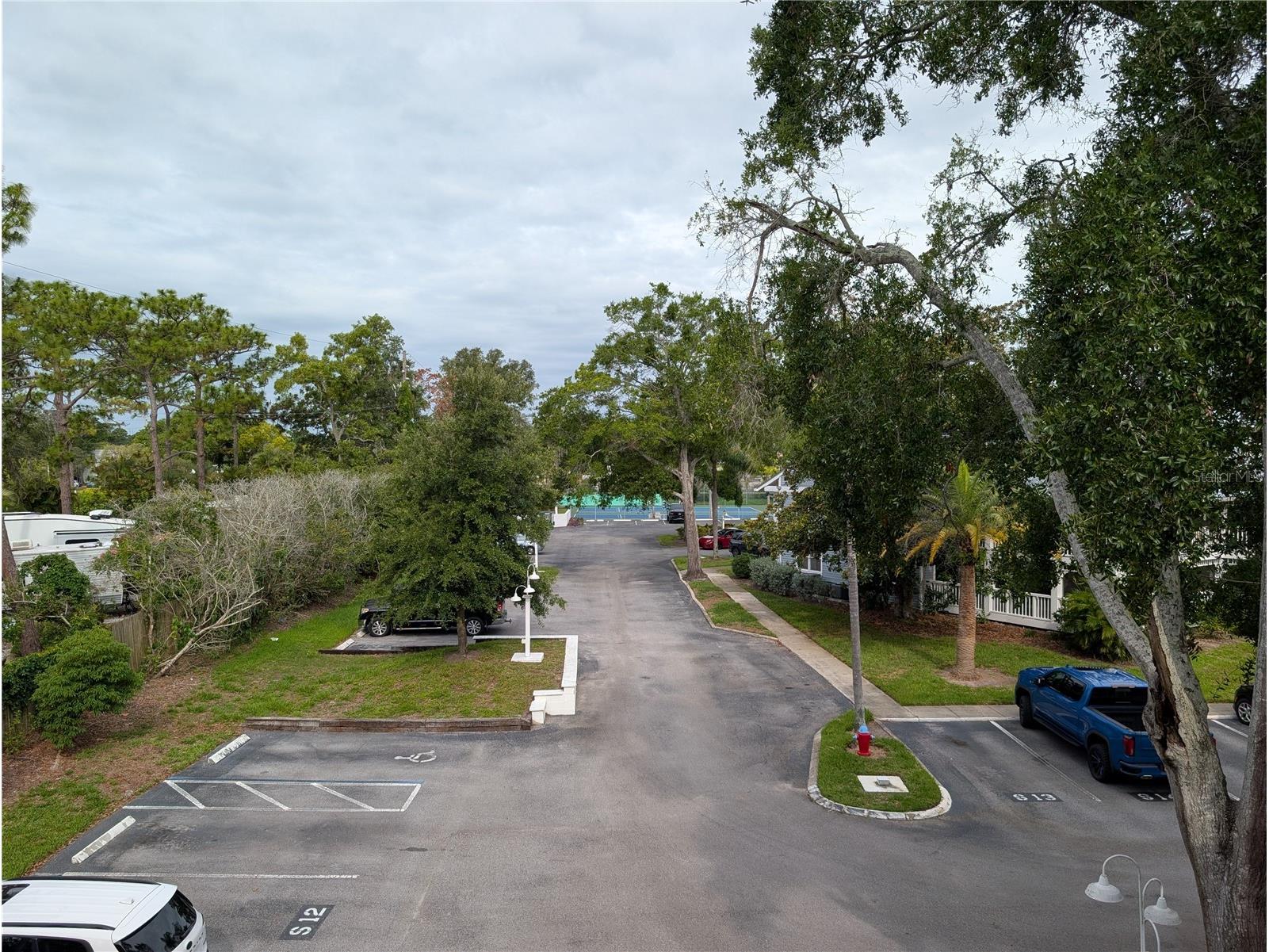 2577 Dolly Bay Drive #302 Palm Harbor FL 34684 W7886430 image37