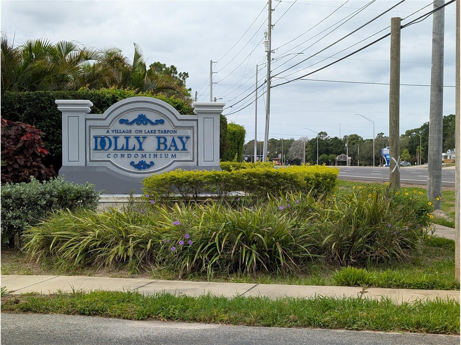 2577 Dolly Bay Drive #302 Palm Harbor FL 34684 W7886430 image40