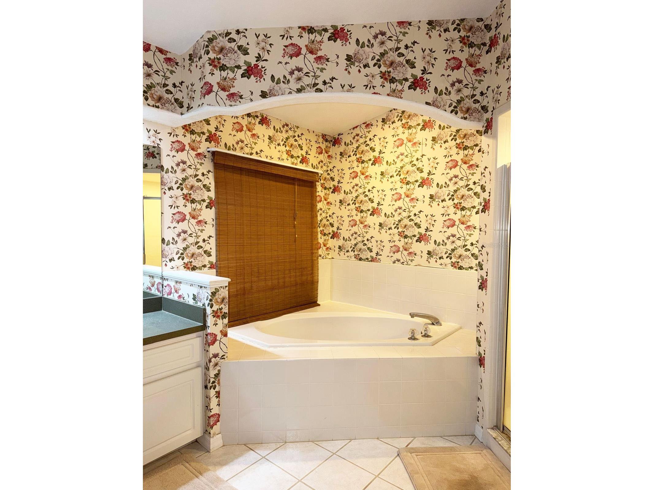 2577 Highlands Vue Parkway Lakeland FL 33812 OM719722 image19