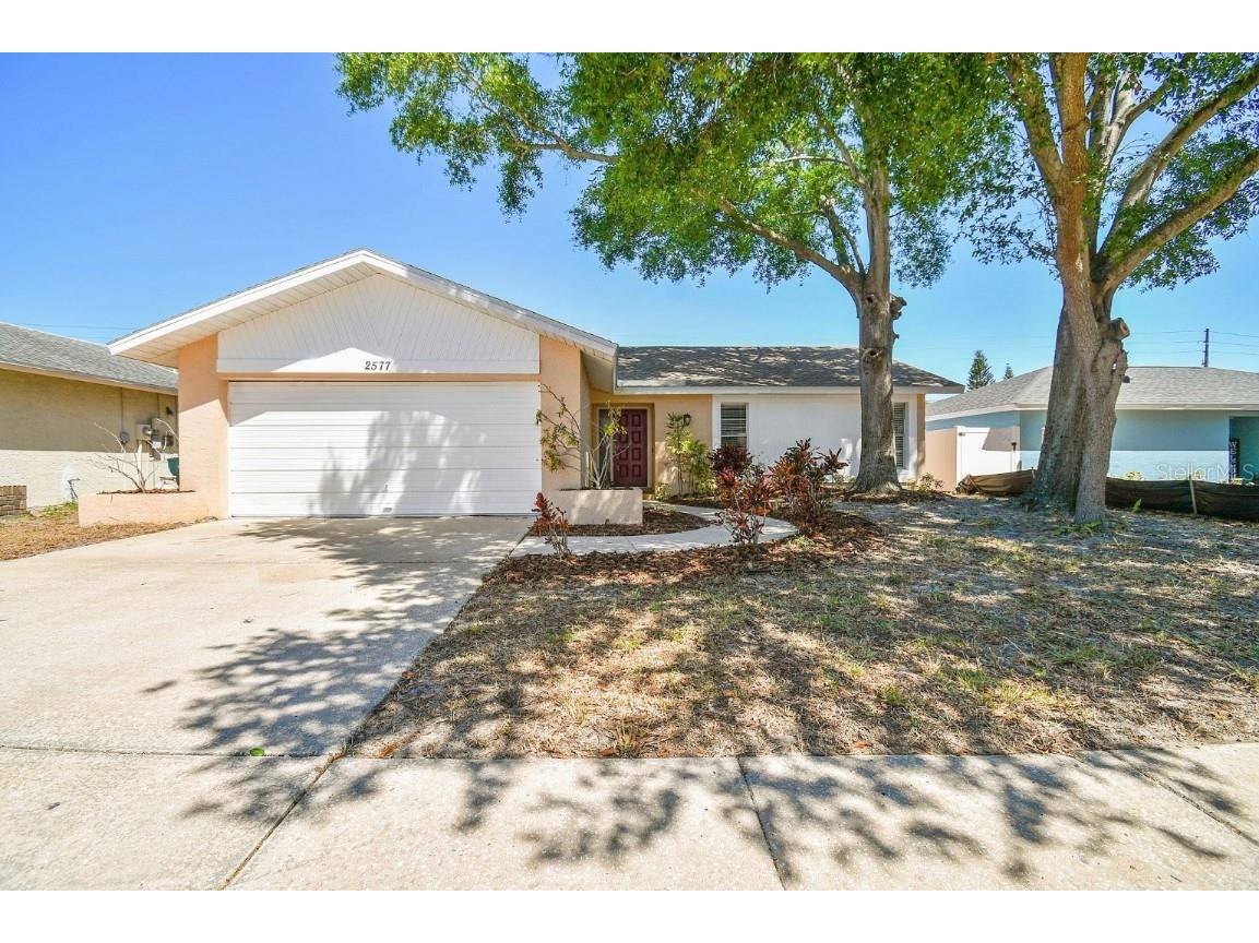 2577 Orangewood Court Palm Harbor FL 34684 U8195613 image1