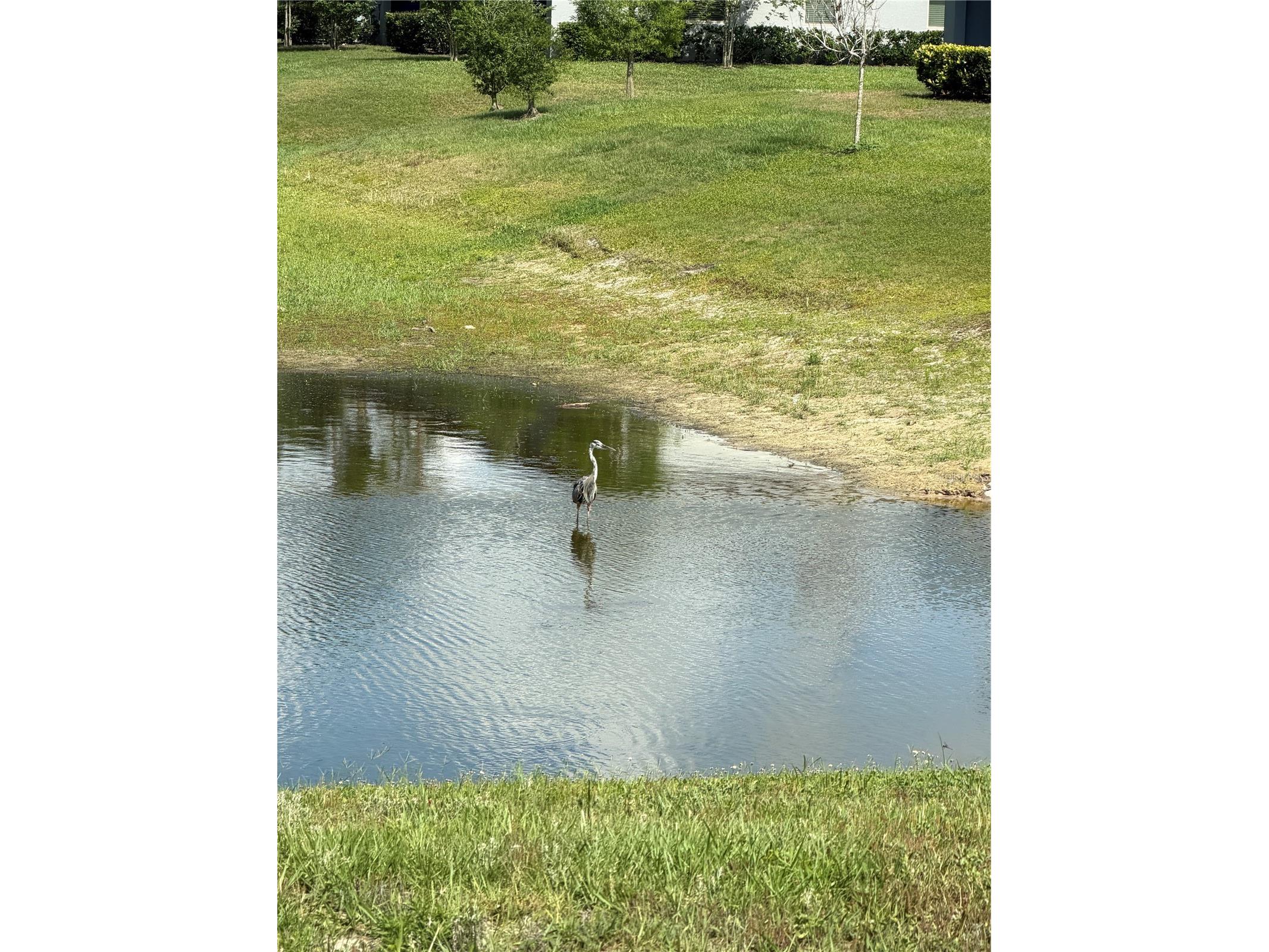 2578 Charlan Court Holiday FL 34690 W7885741 image32