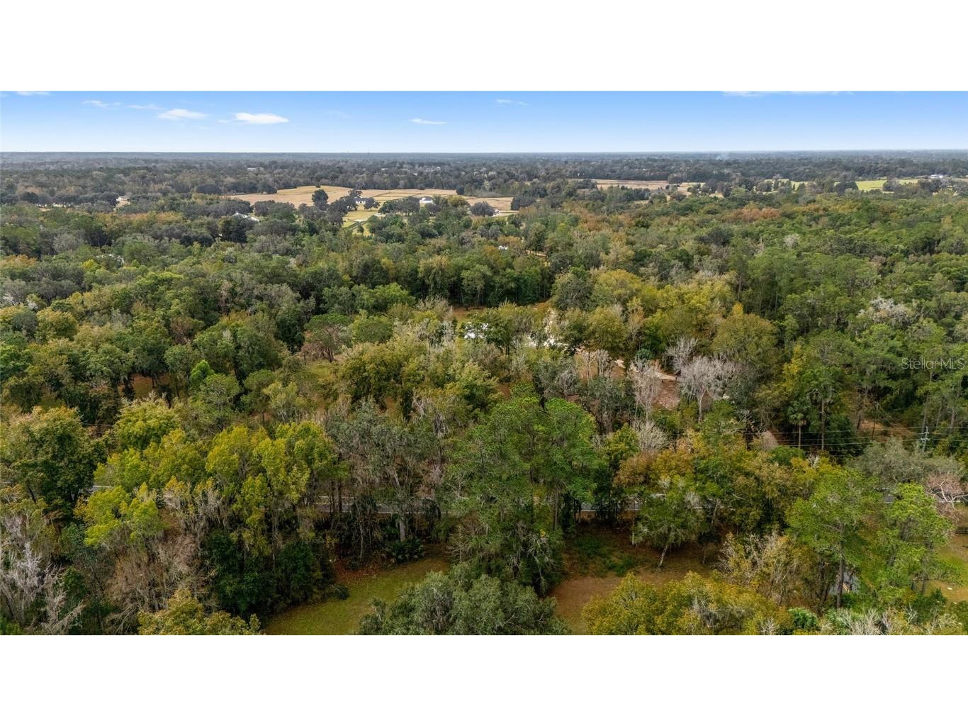 2578 SE 110th Street Ocala FL 34480 OM713770 image32