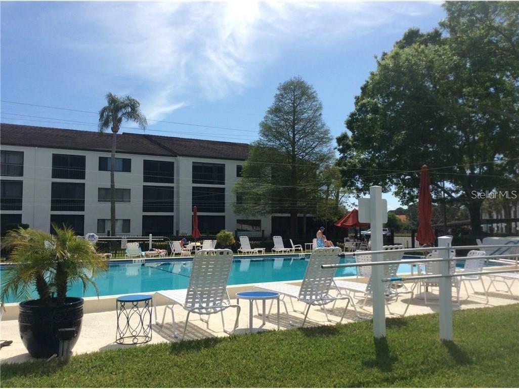 2579 Countryside Boulevard #1204 Clearwater FL 33761 TB8458119 image16