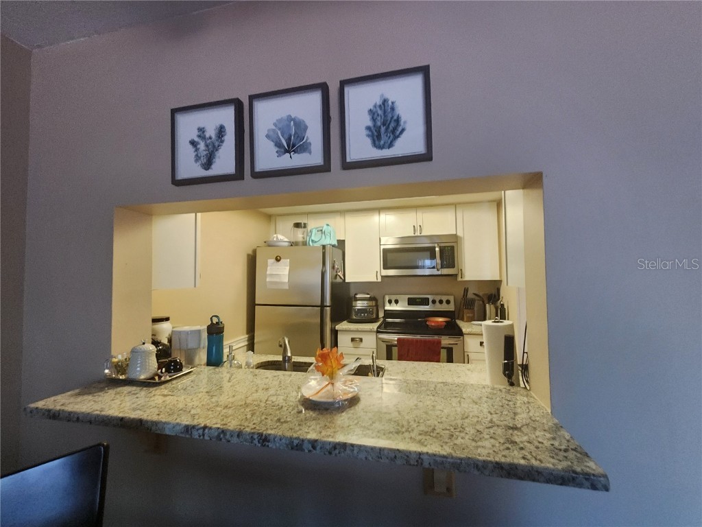 2579 Countryside Boulevard #1204 Clearwater FL 33761 TB8458119 image4