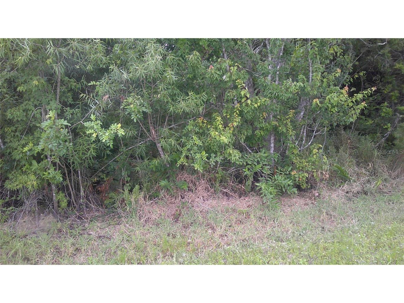 2579 NW 34th Avenue Okeechobee FL 34972 OK224002 image1