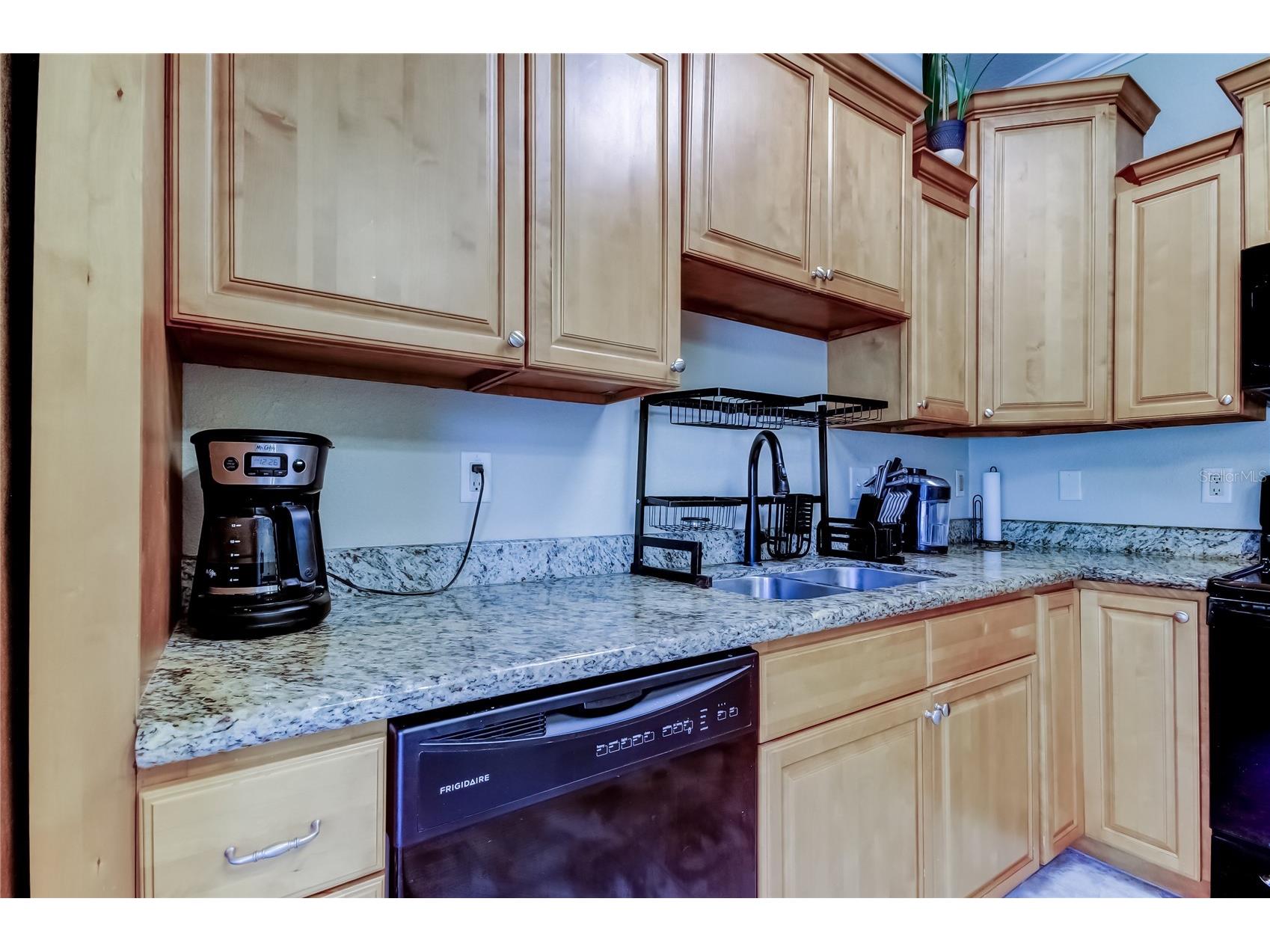 258 Alexander Woods Drive Plant City FL 33563 TB8483400 image10