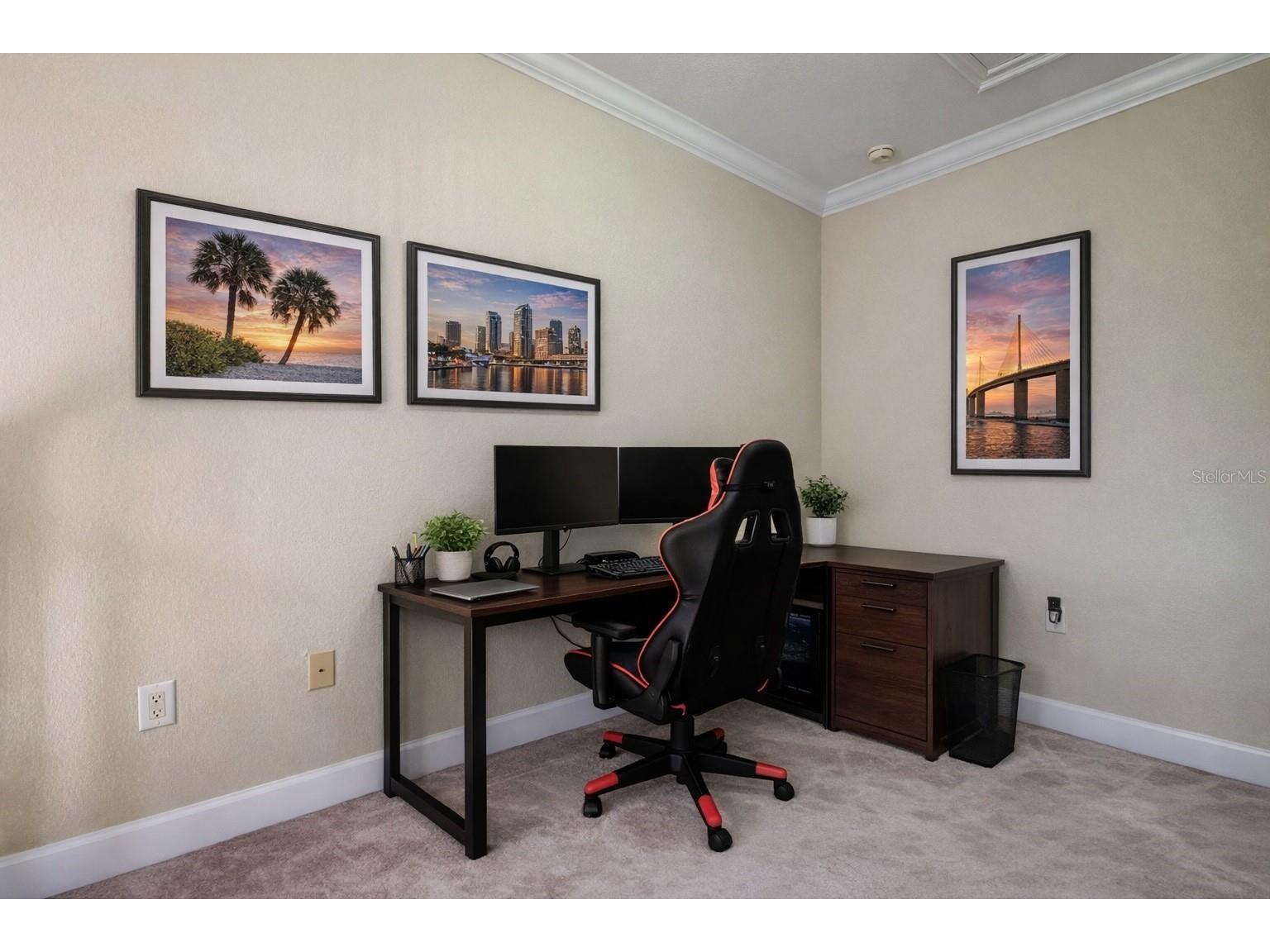 258 Alexander Woods Drive Plant City FL 33563 TB8483400 image18