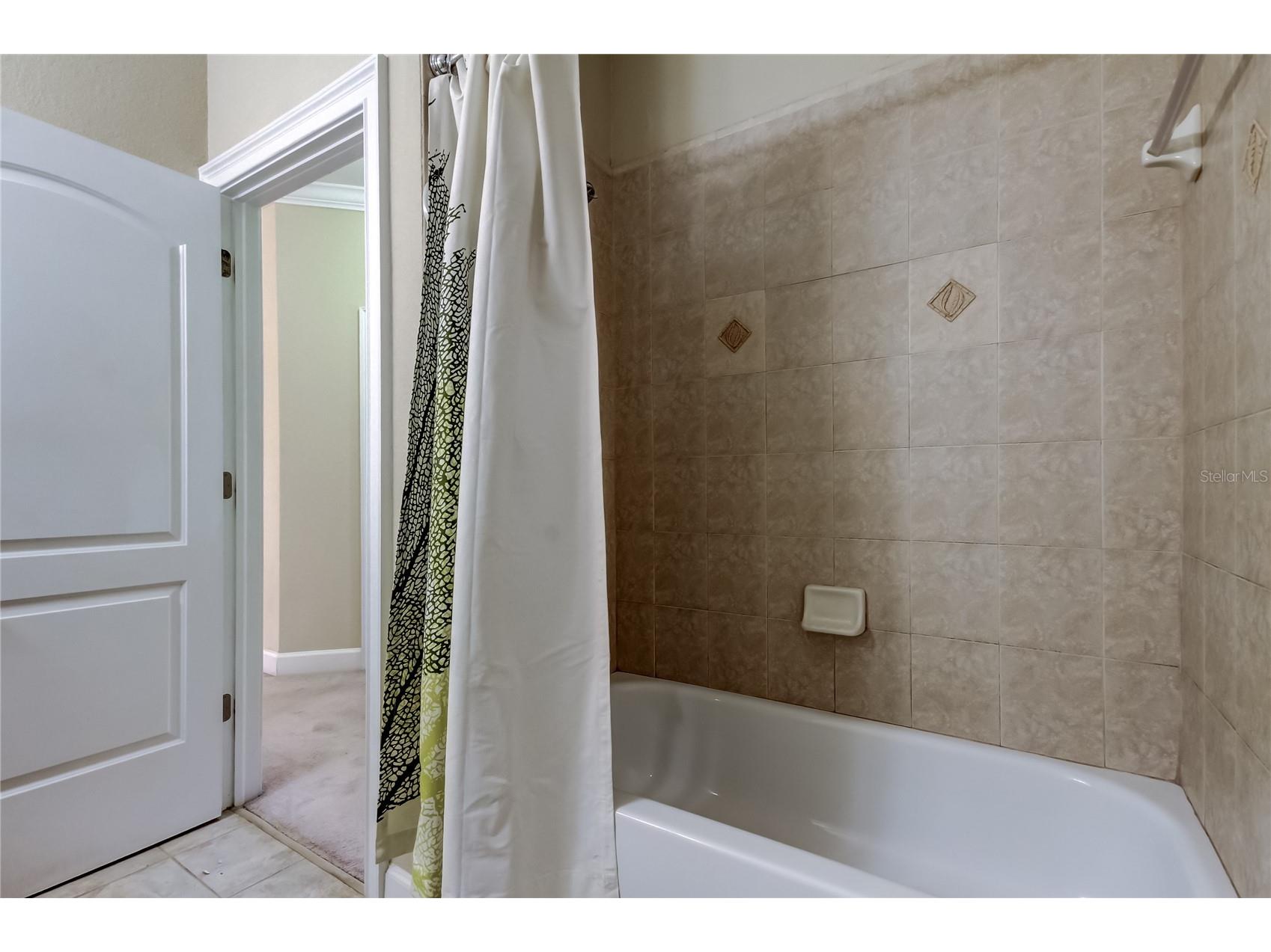 258 Alexander Woods Drive Plant City FL 33563 TB8483400 image23