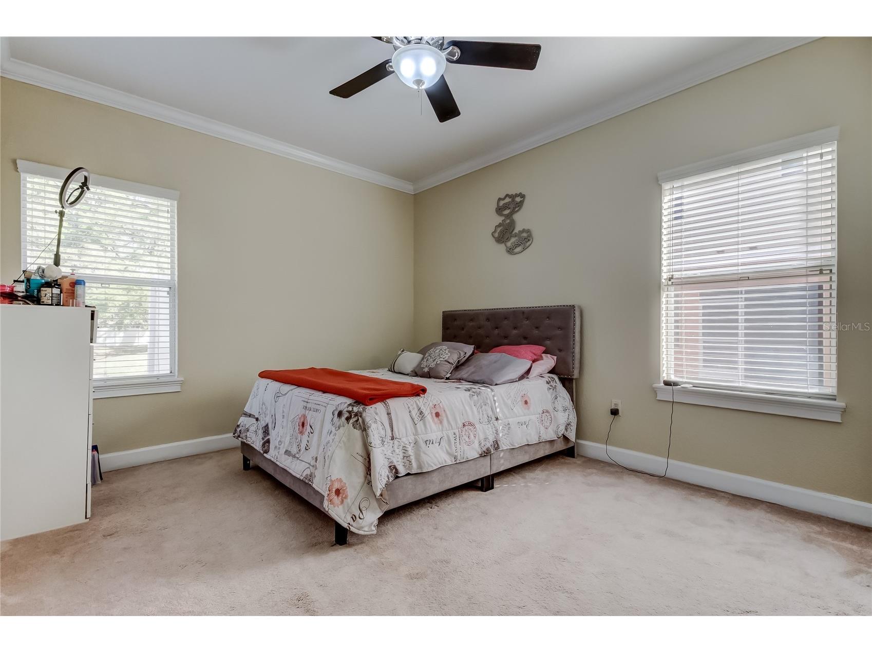 258 Alexander Woods Drive Plant City FL 33563 TB8483400 image27