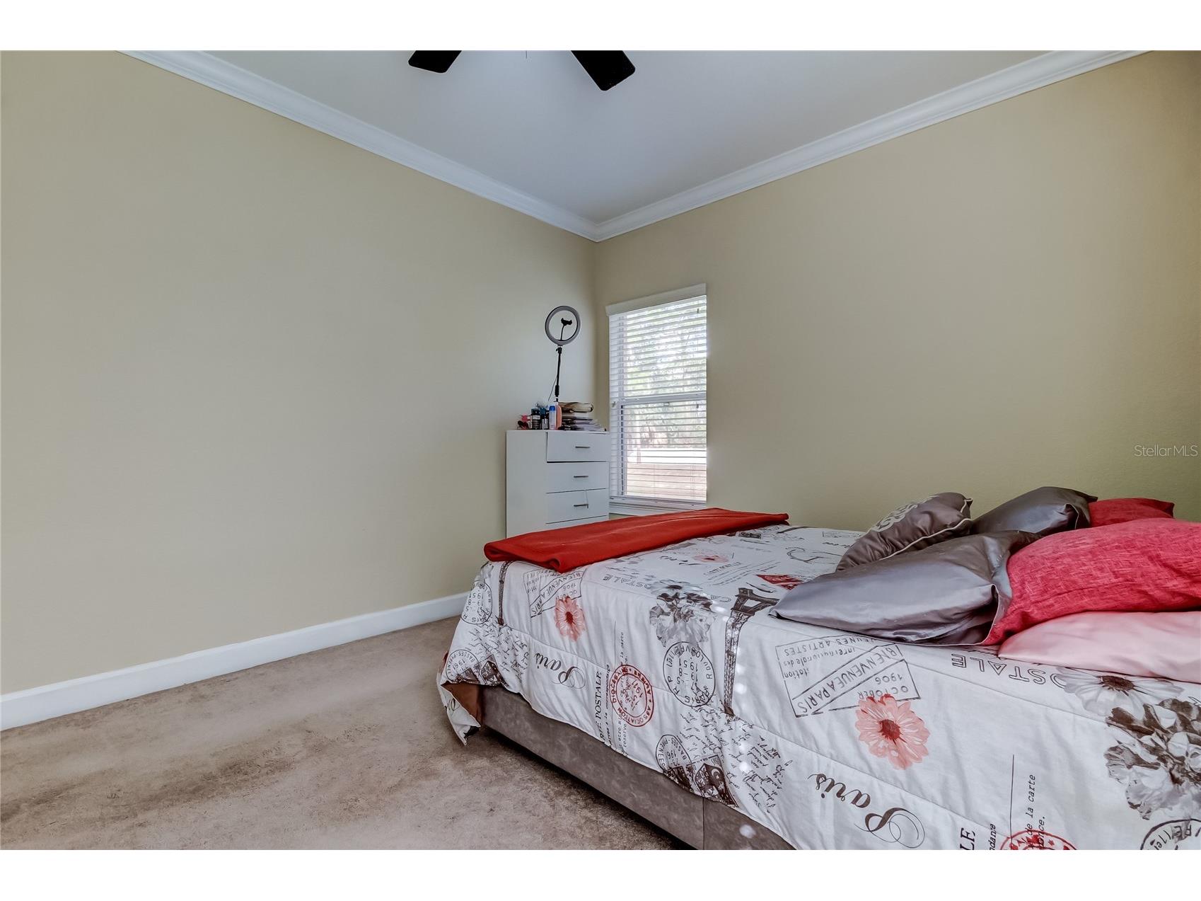 258 Alexander Woods Drive Plant City FL 33563 TB8483400 image28