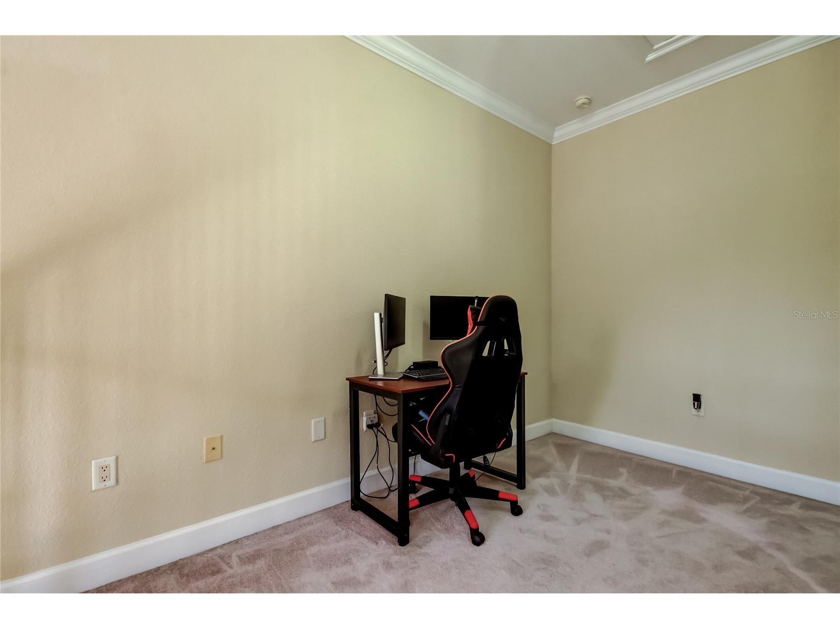 258 Alexander Woods Drive Plant City FL 33563 TB8483400 image31