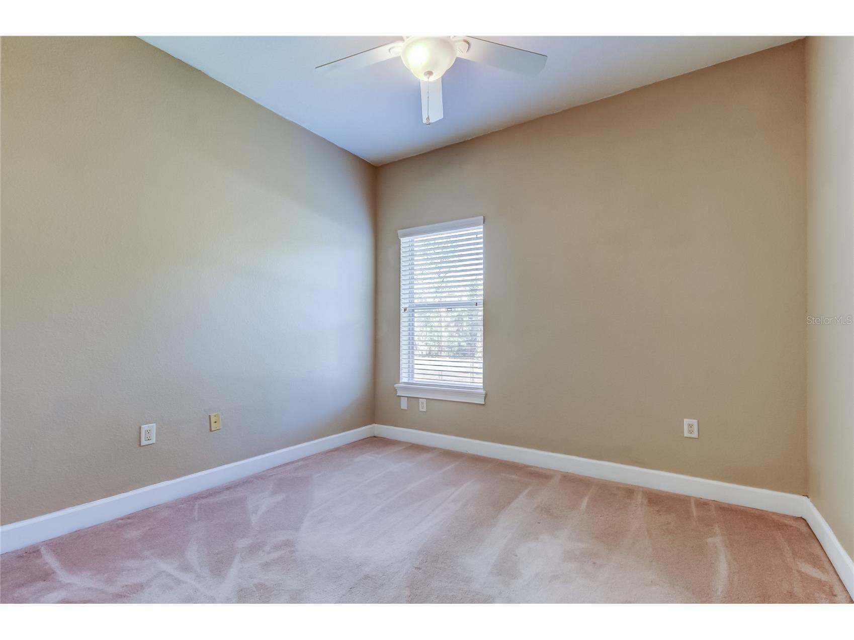 258 Alexander Woods Drive Plant City FL 33563 TB8483400 image32