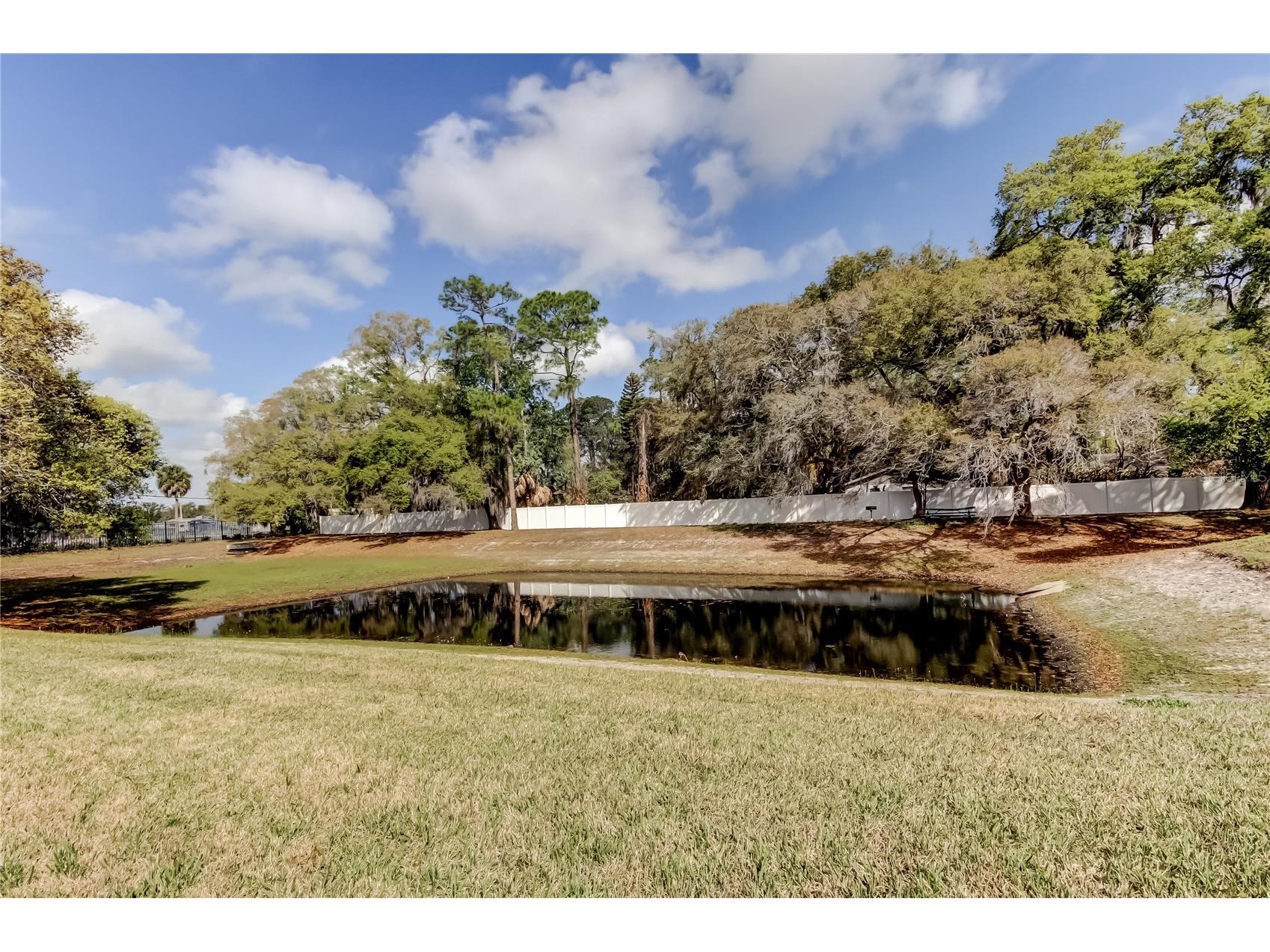 258 Alexander Woods Drive Plant City FL 33563 TB8483400 image40