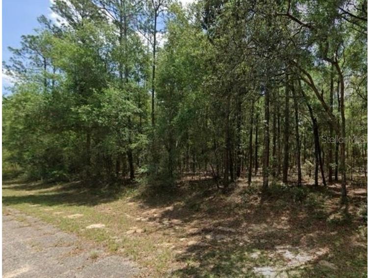 258 E Gamewell Lane Citrus Springs FL 34434 GC523128 image1