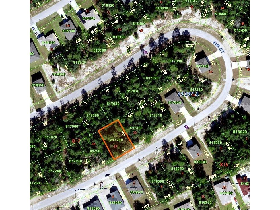 258 Fig Court Poinciana FL 34759 O6095569 image1