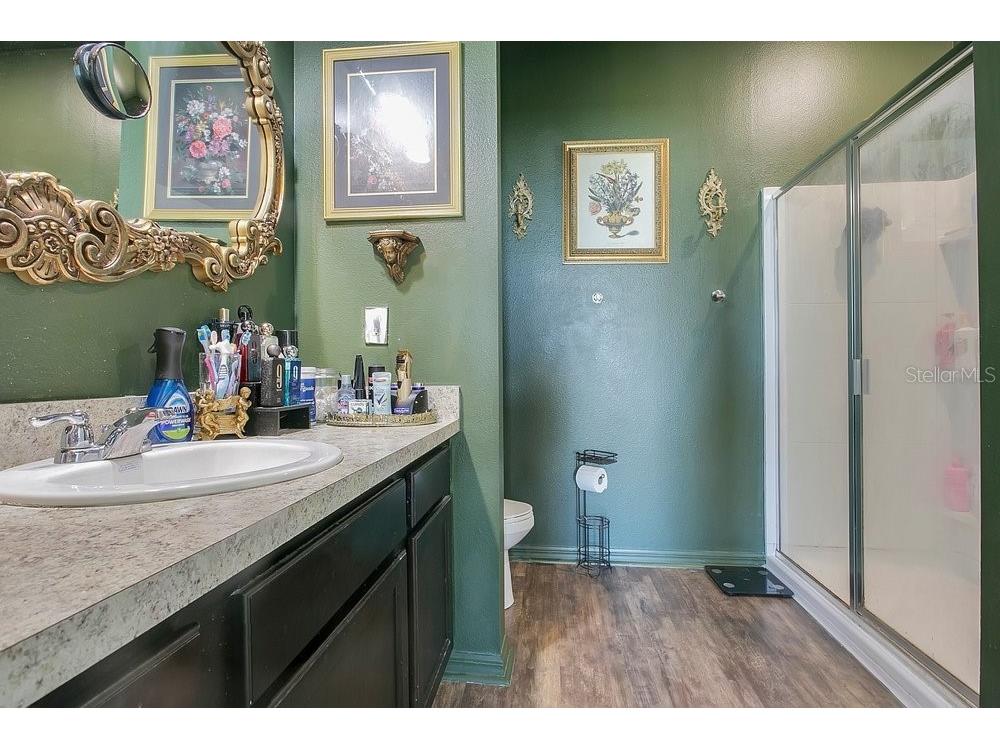 258 Hidden Lake Loop Haines City FL 33844 G5111304 image12