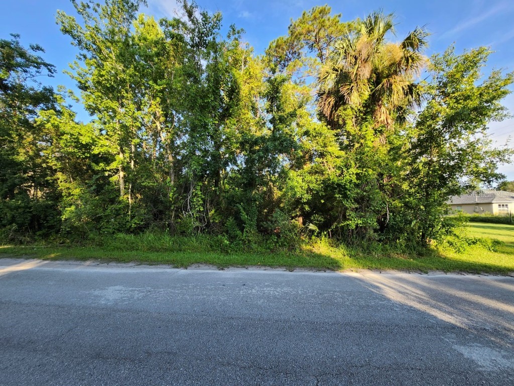 258 Lago Vista Street Debary FL 32713 O6124153 image1