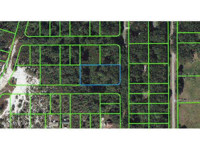 258 Marshall Avenue Lake Placid FL 33852 OM541288 image1